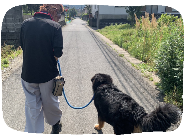 自立訓練（生活訓練）事業